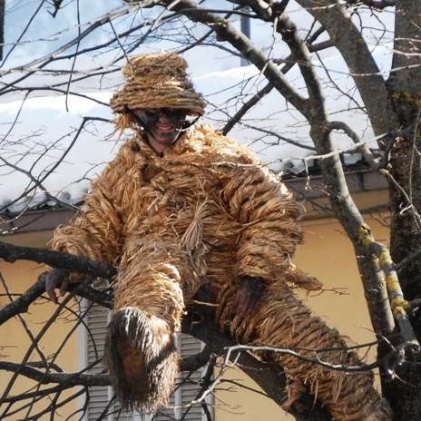 Valdieri Orso-albero