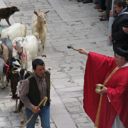 Civitacampomarano