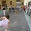 Festival dell'Oralità Popolare 2008