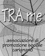 trame_copy