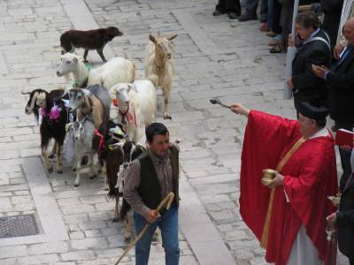 La Festa di San Liberatore