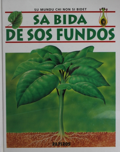 Copertina