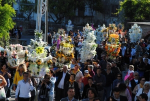 La Festa di Sant&#039;Antonio e la Tradizione delle Cente